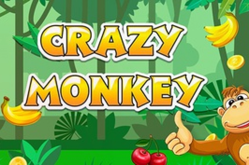 Crazy Monkey Crazy Monkey